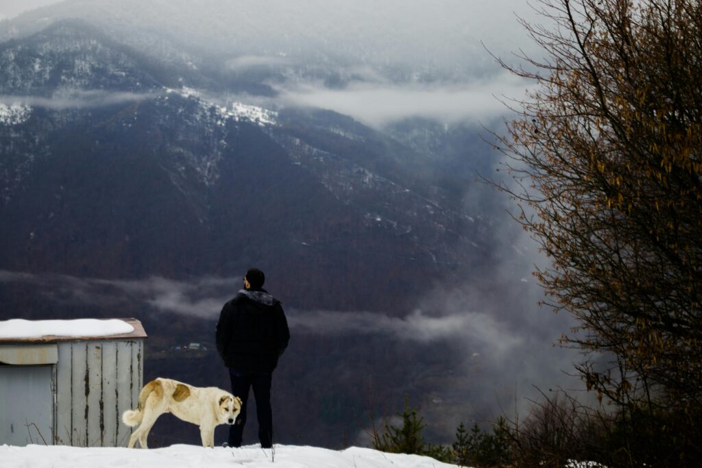 A dog and man stand on a snowy mountain, overlooking a misty landscape.