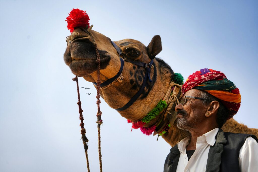 A vibrant scene of a cameleer with a decorated camel at the Pushkar Fair in India.