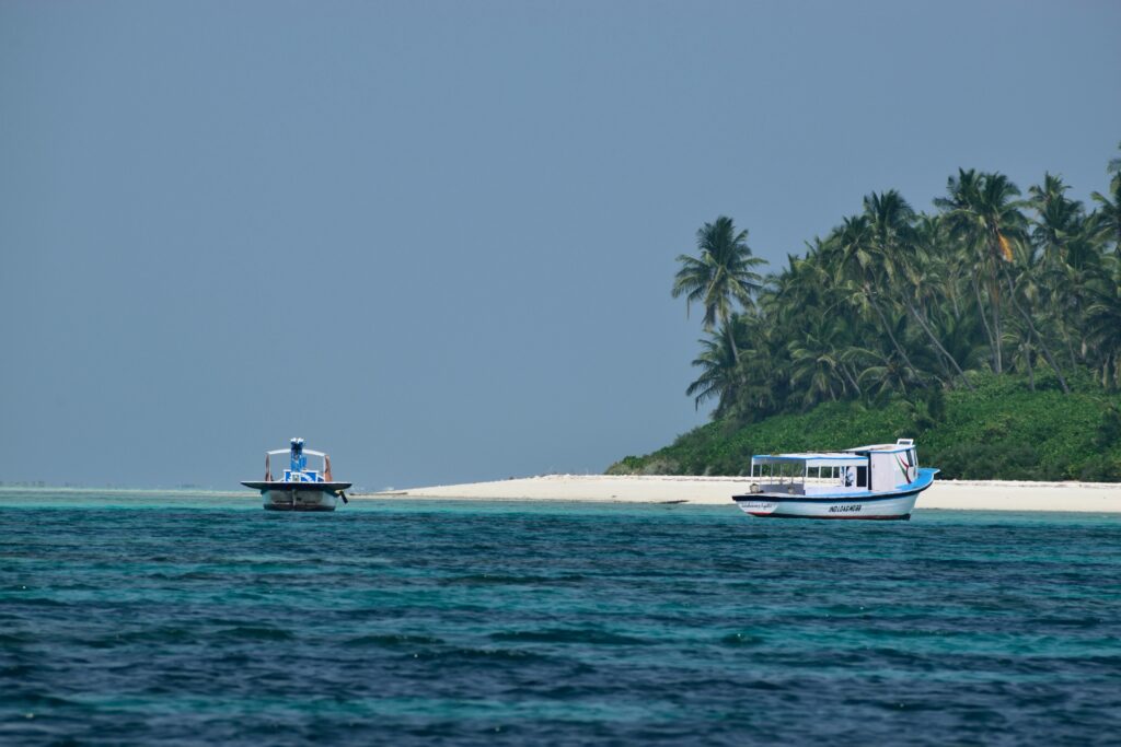 Explore the serene tropical beauty of two boats near a lush palm-lined island in India.