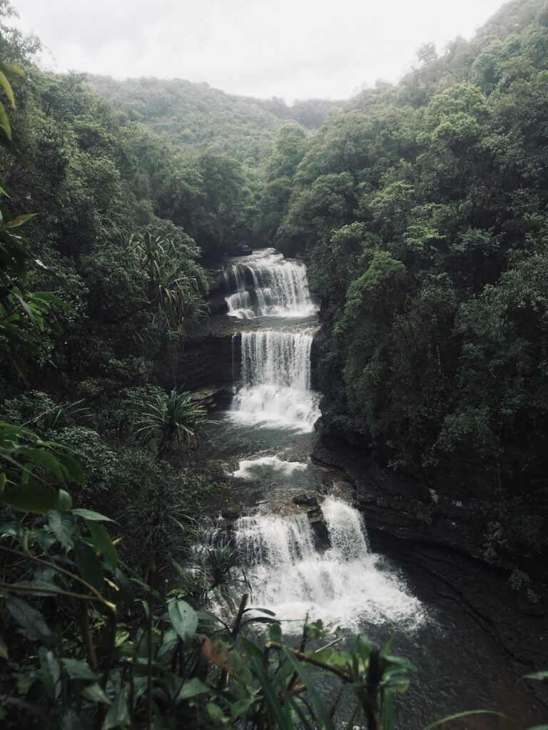 Majestic waterfall cascading through lush jungle foliage in Cherrapunjee, India.