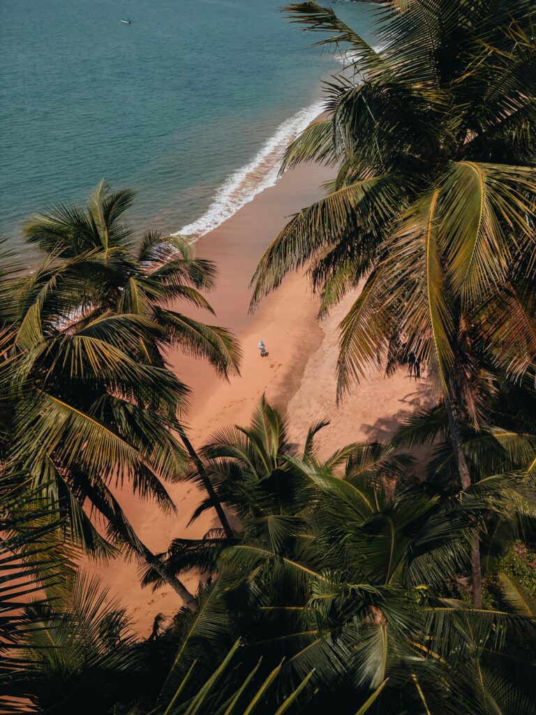 Serene aerial shot of a tropical beach in Goa, India, showcasing palm trees and sandy shores.
