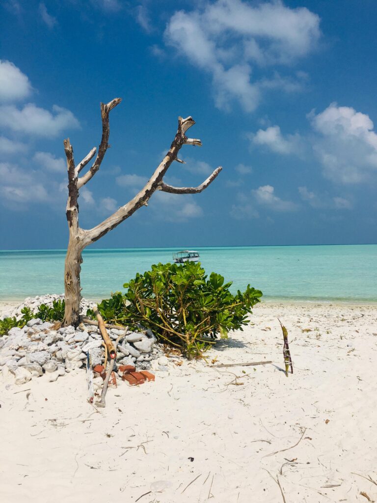 Stunning view of a pristine beach in Lakshadweep with blue skies and clear waters.